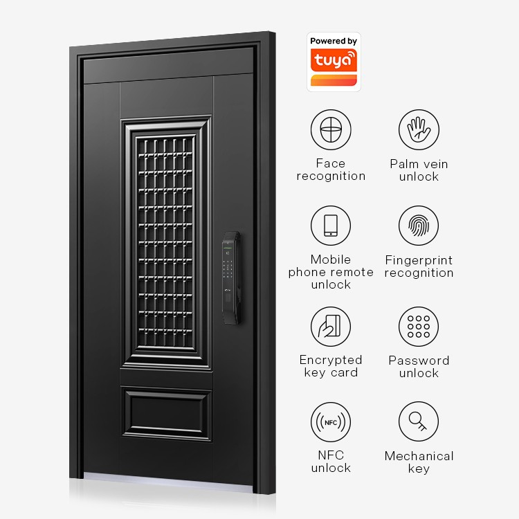 Smart Steel Entry Door best